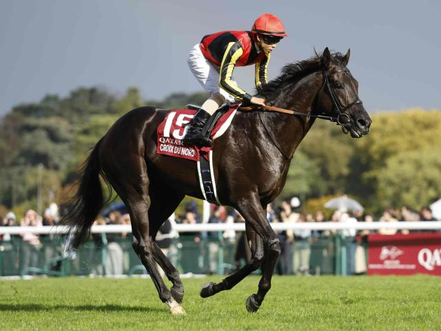 【有力馬動向】クロワデュノールは大阪杯に向けて伸びのあるフットワークを披露/馬三郎のつぶやき