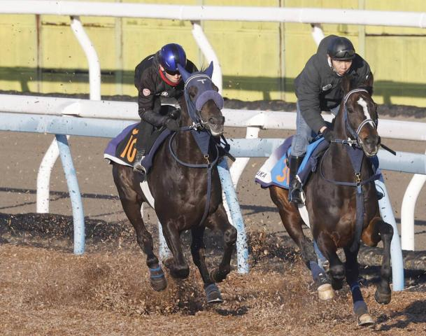 【スプリングS】併せ馬で遅れても鞍上が好感触のアウダーシア　津村明秀騎手「背中が良くて」