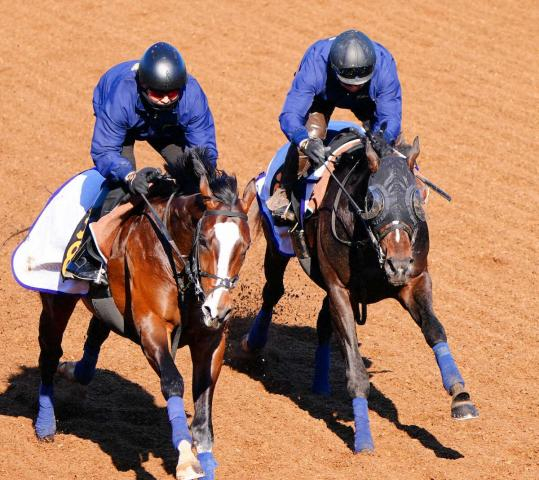 【スプリングS】クレパスキュラー　馬なりのまま併入　栗田師手応え「折り合いついた」