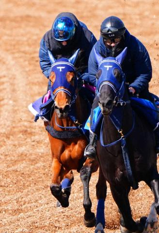 【アネモネS】ディアダイヤモンド　スピード感満点1F11秒7　手塚久師「能力は高い」