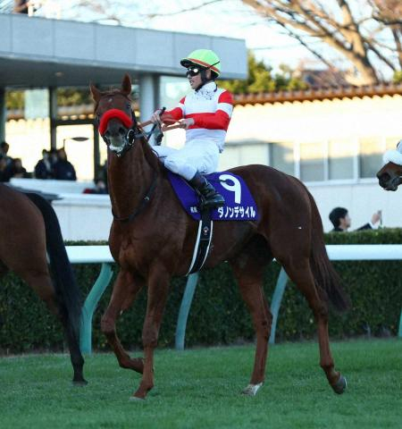 ダノンデサイル　ドバイ遠征取りやめ大阪杯へ　安田師発表「オーナーとの協議の結果」