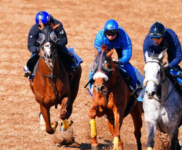 【金鯱賞】アーバンシック　ラスト1F11秒6シャープな伸び　武井師「力はあると信じてる」