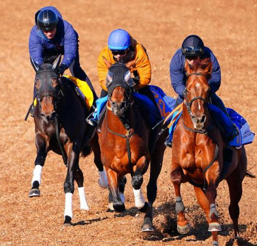 【金鯱賞】ドゥラドーレス　余力十分に併入　宮田師「なんとかタイトルを」