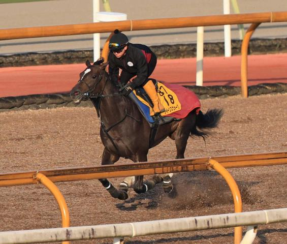 【金鯱賞】クイーンズウォーク　中内田厩舎の史上初JRA同一平地G2・4連覇へ　しまい重点11秒0