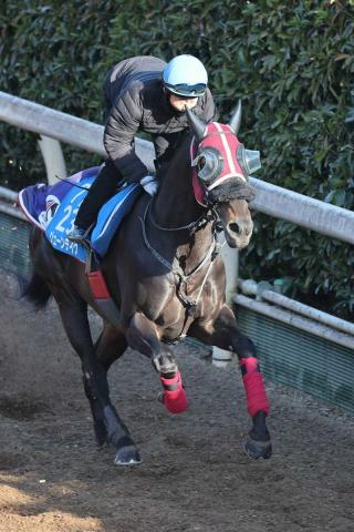 【金鯱賞】ジューンテイク　坂路単走4F57秒0　武豊と新コンビで“バースデーV”狙う