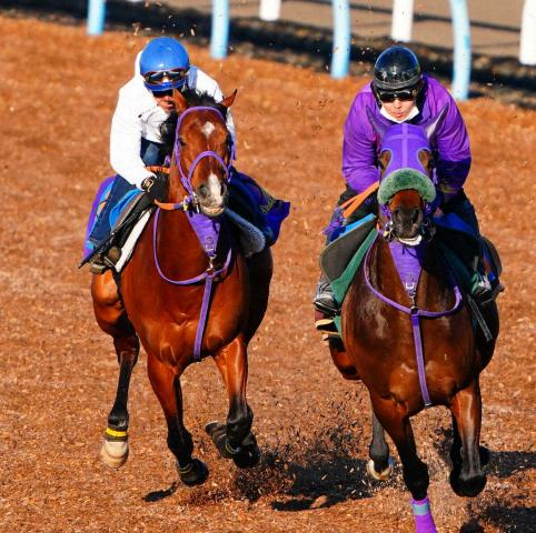 【金鯱賞】ディマイザキッド　ラスト1F12秒1で併入　柴田善「しっかり走れた」