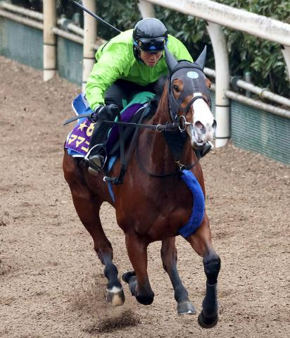【注目馬動向】高松宮記念のママコチャは引き続き川田将雅騎手とのコンビで出走へ