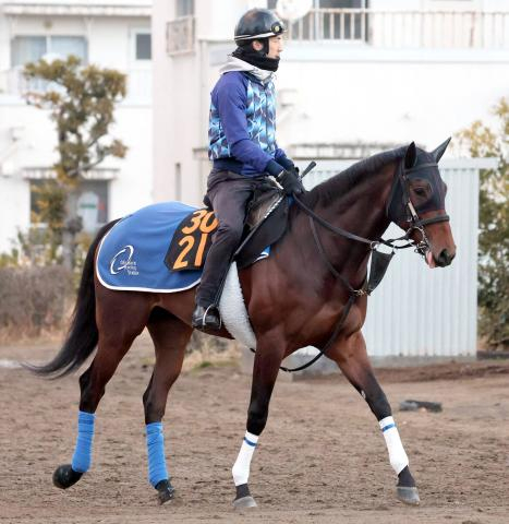 すみれS5着のアッカンはダービートライアルの青葉賞へ　クイーンC3着のヒズマスターピースはニュージーランドTを予定