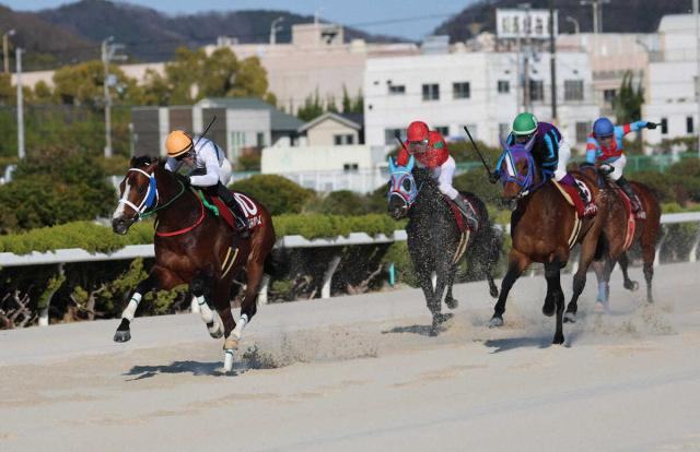 【姫路競馬　白鷺賞】ヘラルドバローズ　押し切りV　小谷哲平は師匠の管理馬で重賞制覇