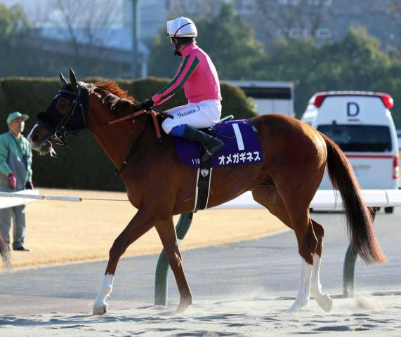 フェブラリーS5着のオメガギネスがゴドルフィンマイルを回避　安田調教師が発表