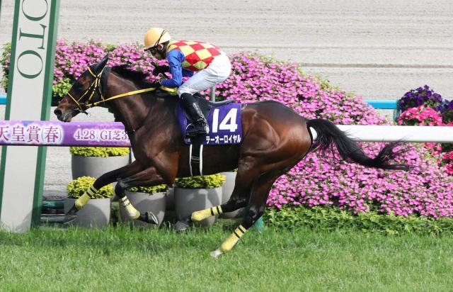 24年の天皇賞・春覇者　テーオーロイヤルが栗東トレセンを退厩