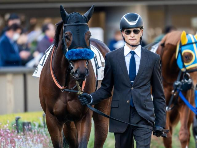 デビューから5戦連続2着のイナズマダイモン 今度こそ初勝利なるか