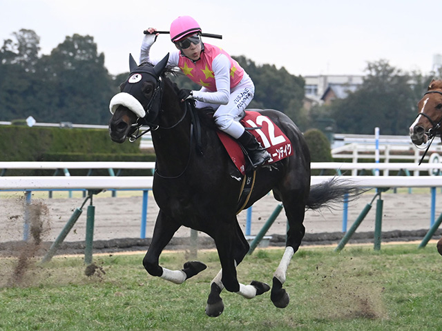 【週末情報】ジューンテイク金鯱賞で重賞連勝へ 武英師「早めに動くレースができれば」/馬三郎のつぶやき