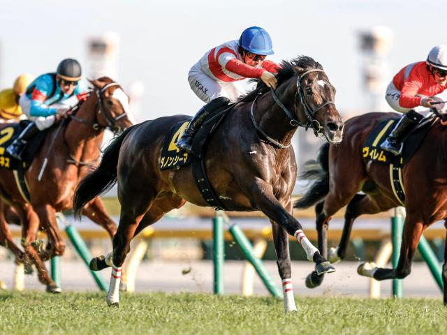 【阪神大賞典想定馬・騎手】ダノンシーマ、アドマイヤテラなど11頭