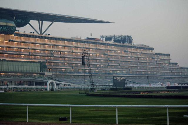 ポインセチアS覇者ロックターミガンはドバイ遠征見送り　京浜盃、伏竜Sに向けて調整