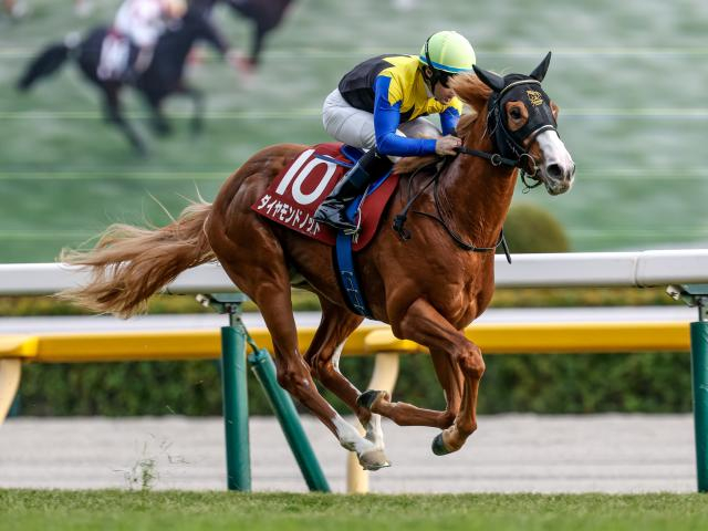 【ファルコンS想定馬・騎手】ダイヤモンドノット、タマモイカロスなど19頭