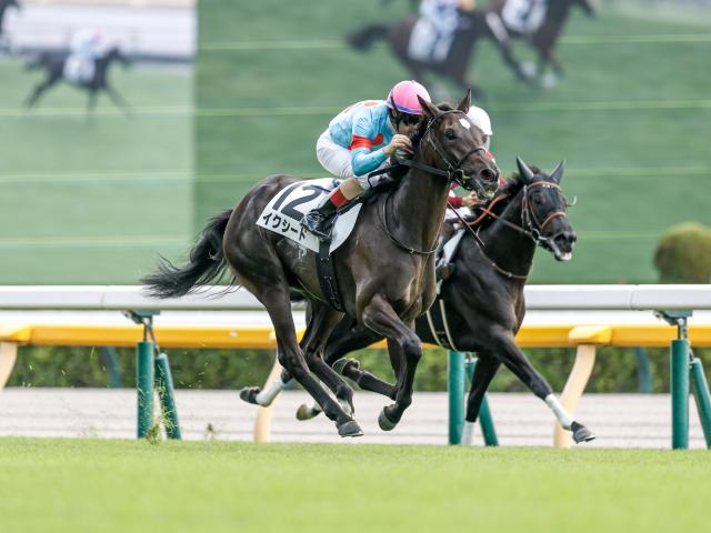 【フラワーC想定馬・騎手】イクシード、ヴィスコンテッサなど15頭