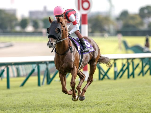 【高松宮記念想定馬・騎手】ウインカーネリアン、ナムラクレアなど22頭