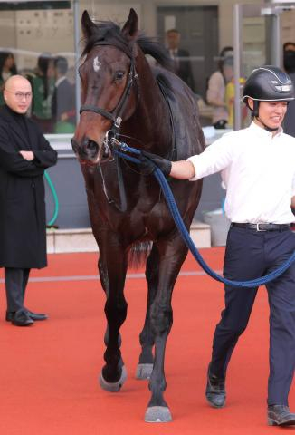 【注目馬動向】ロックターミガンがUAEダービーを辞退　今後は京浜盃と伏竜Sの両にらみ