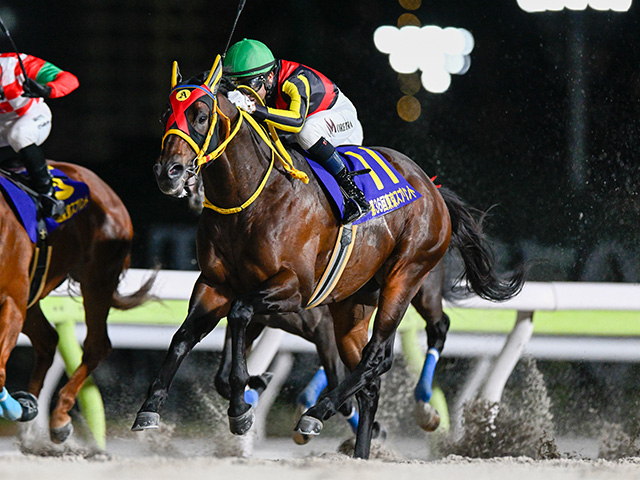 【有力馬動向】エートラックス黒船賞は除外濃厚で千葉Sへ/馬三郎のつぶやき