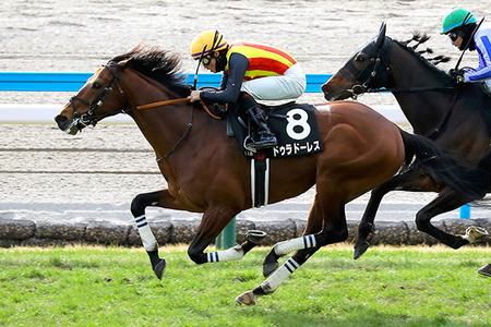 【競馬予想】[1]第62回金鯱賞(GⅡ) /2026