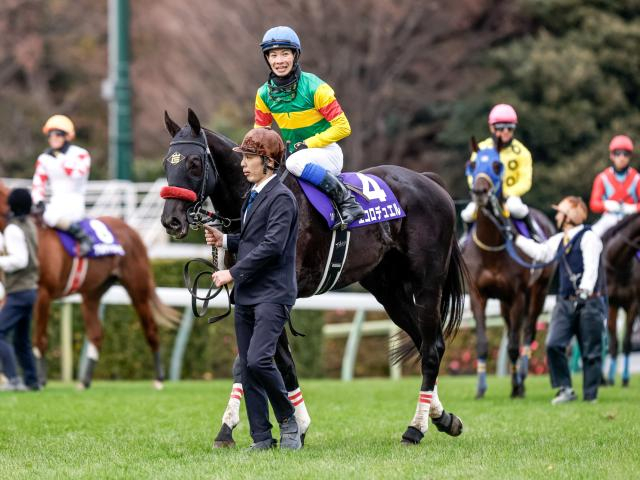 【今日の注目ポイント】阪神SJと桜花賞TRアネモネS