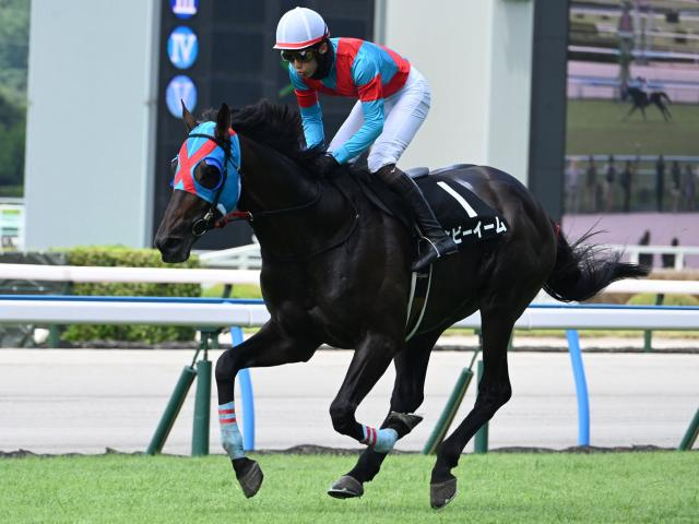 【阪神SJ予想】中山GJへの重要な前哨戦 「14」の障害が待ち受けスタミナと底力は不可欠