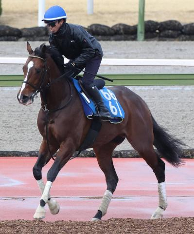 【金鯱賞】上り馬ヴィレムが短期免許1週目のディー騎手と重賞初制覇へ　藤原調教師「乗れるジョッキー」