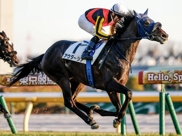 【スプリングS予想】前走で新馬や未勝利に出走馬は苦戦！ 人気の一角に気になる消去法データ