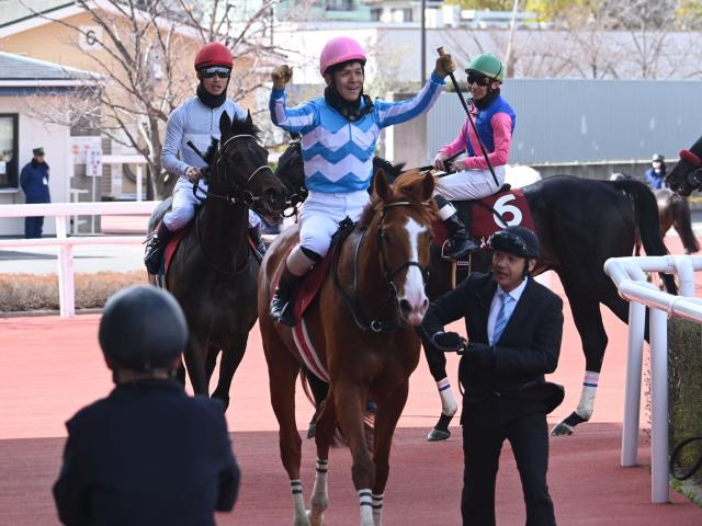 【阪神スプリングJレース後コメント】ディナースタ高田潤騎手ら