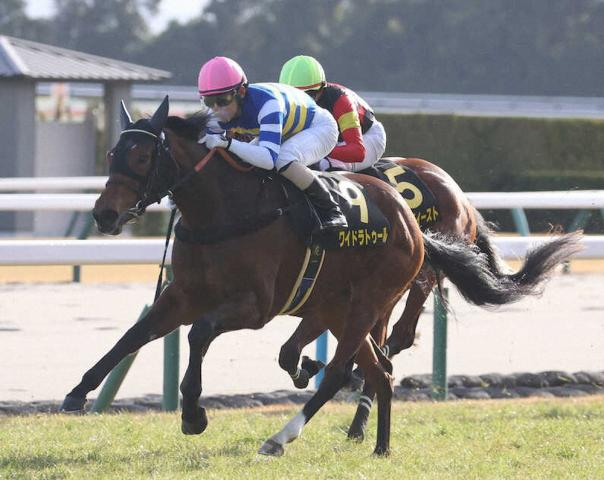 【愛知杯展望】千四巧者ワイドラトゥールが連覇を期す　7歳ドロップオブライトは衰え知らず