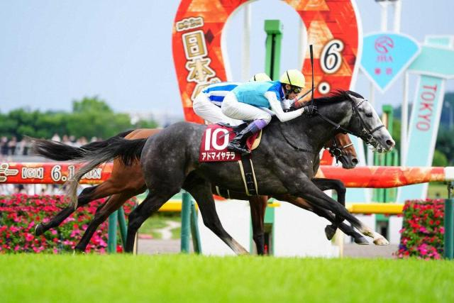 【阪神大賞典展望】アドマイヤテラが始動　昨年目黒記念に続くG2奪取へ