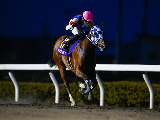 【浦和・桜花賞枠順】5連勝中のアンジュルナは4枠4番