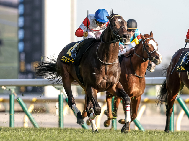 【阪神大賞典見どころ】飛ぶ鳥を落とす勢いのダノンシーマ