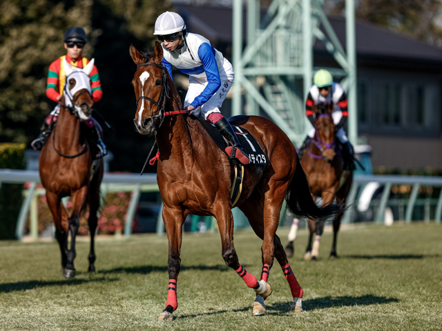 【フラワーC見どころ】レースセンスが光るアメティスタ