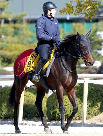 【愛知杯】ドロップオブライトは自分の「庭」の中京コースが魅力　土日重賞ジャックへ福永調教師「いい条件」