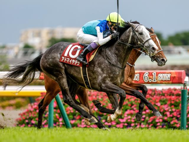 【AI予想・阪神大賞典】スタミナが問われる一戦は若さが重要!? 実績や近況の勢いも重視する人工知能の本命候補とは