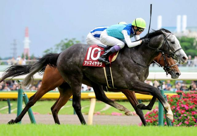 【阪神大賞典】武豊騎手がアドマイヤテラでデビュー40年連続重賞制覇狙う　友道調教師「今年の武豊の初重賞に…」