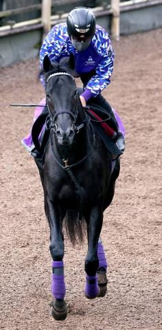 アドマイヤグルーヴなど若葉Sで5勝の武豊騎手　今年は初コンビのキッコベッロで皐月賞切符を狙う