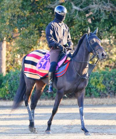 【フラワーC】イクシード　5カ月ぶり復帰戦　太田助手「まだ若干ひ弱さがある」