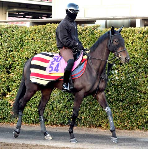 【フラワーC】偉大な兄イクイノックスを超える!　全妹イクシードが新馬V以来5か月半ぶりで重賞初挑戦