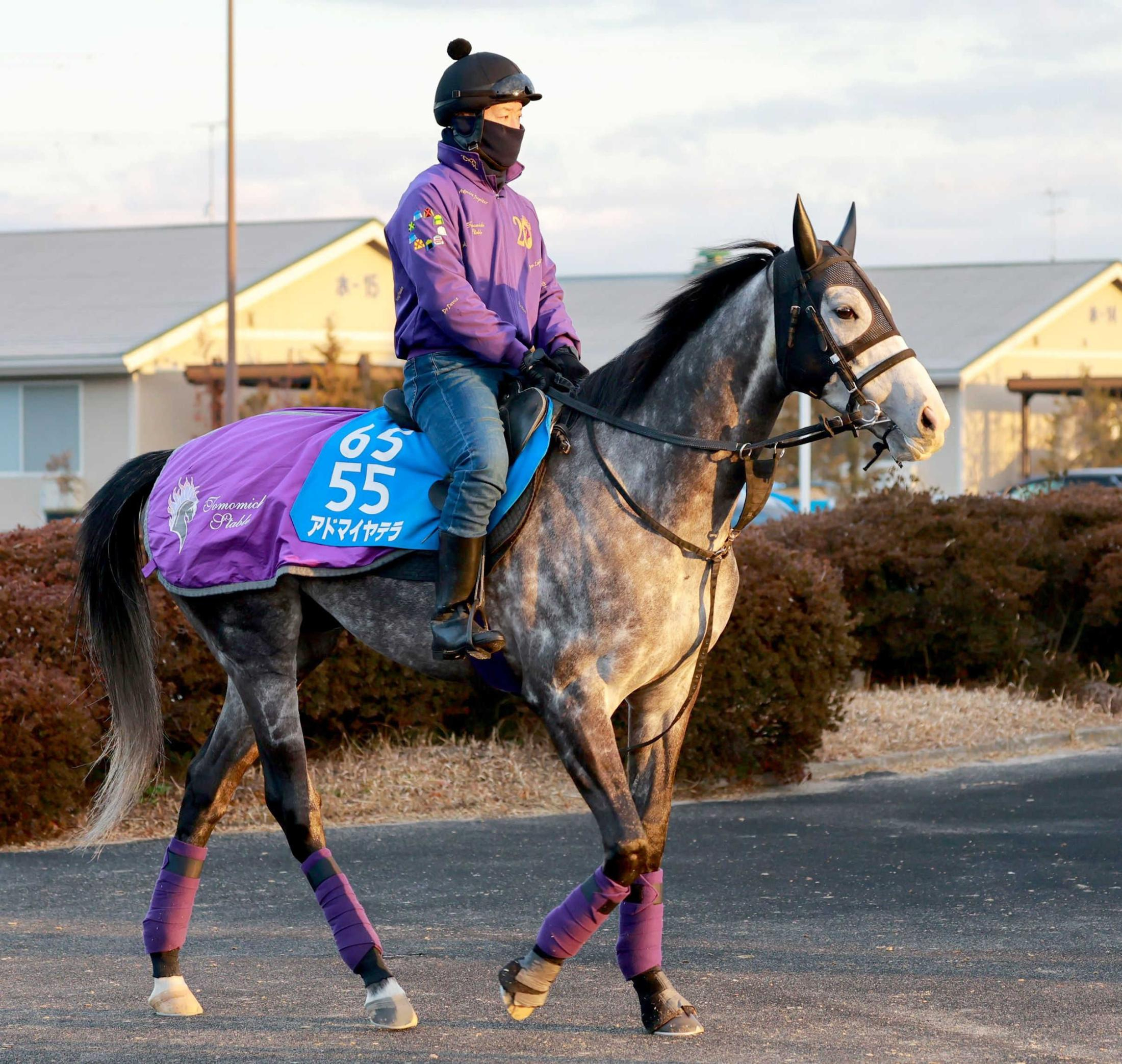 【阪神大賞典】アドマイヤテラ　武豊とコンビ復活で巻き返す　友道師「距離はどれだけあっても大丈夫」スタミナ武器に重賞２勝目狙う