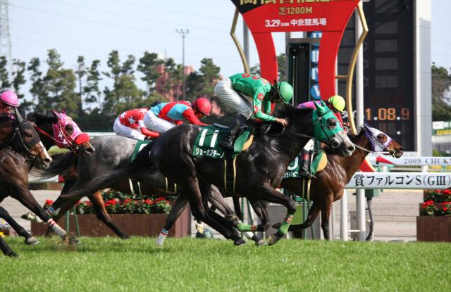 【競走伝】現在は真っ白に“激変”した芦毛の個性派が見せた驚きの差し切り　09年ファルコンS