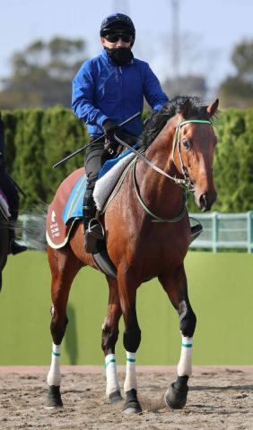 【阪神大賞典】レッドバンデが“下克上V”へ　大竹調教師「菊花賞よりもう少し最後は脚を使えるようになる」