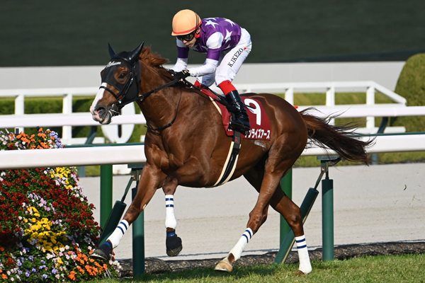 【阪神大賞典予想】激変した阪神大賞典のトラックバイアス
