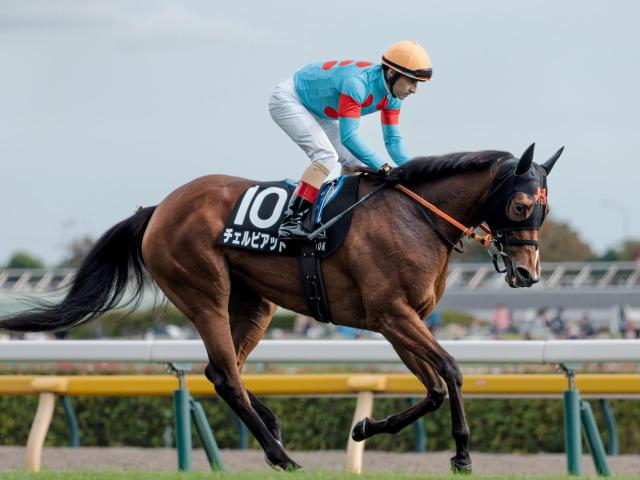 【愛知杯予想オッズ】チェルビアットが予想1番人気