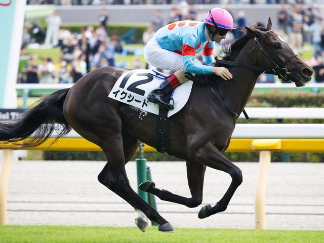 【フラワーC予想オッズ】イクシードが予想1番人気