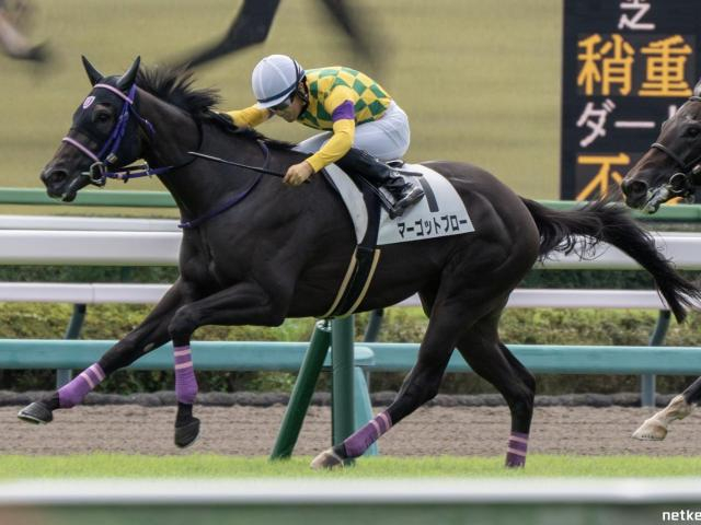 【ファルコンS展望】好走データが後押しするマーゴットブローに注目