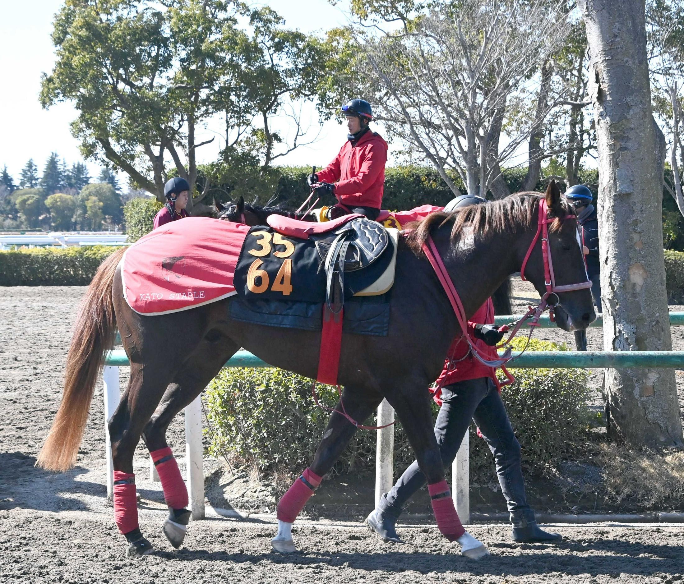 【ファルコンＳ】フクチャンショウ　３歳春に急成長！本領発揮なるか　１週前に騎乗した横山武「また良くなってくれると思う」