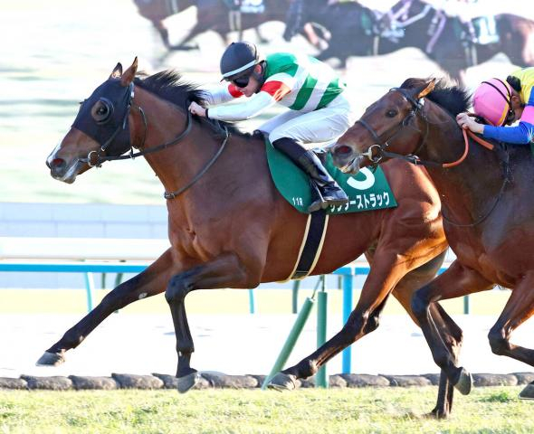 【注目馬動向】シンザン記念を勝ったサンダーストラックはチャーチルダウンズCへ